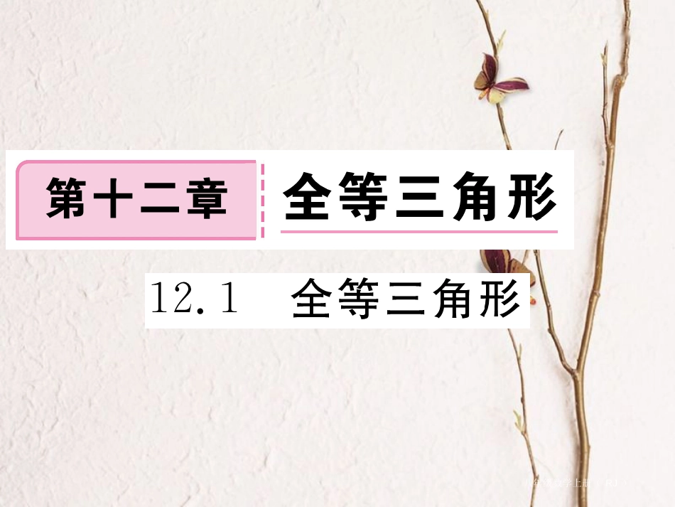八年级数学上册 12.1 全等三角形习题课件 （新版）新人教版_第1页