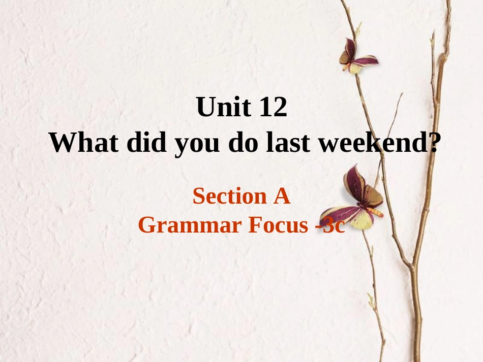 （水滴系列）七年级英语下册 Unit 12 What did you do last weekend（第3课时）Section A（Grammar Focus-3c）课件 （新）人教新目标_第1页