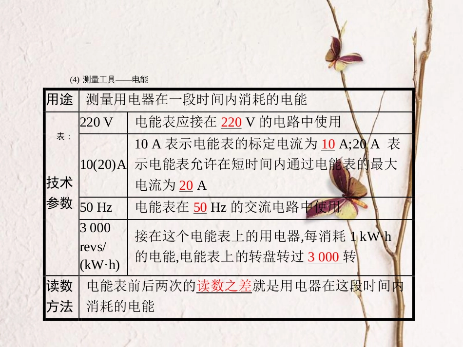 中考物理 考前考点梳理 第18讲 电功率精讲课件_第3页