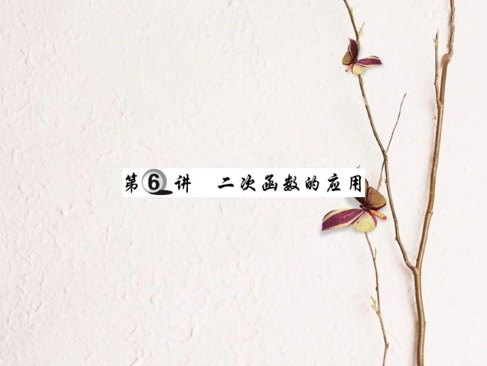 中考数学总复习 第一轮 基础知识复习 第三章 函数及其图象 第6讲 二次函数的应用（讲解本）课件[共28页]_第1页