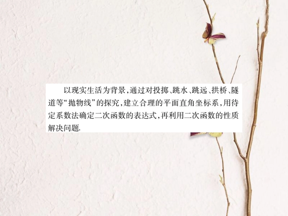 中考数学总复习 第一轮 基础知识复习 第三章 函数及其图象 第6讲 二次函数的应用（讲解本）课件[共28页]_第3页