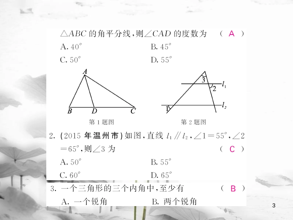 zthAAA八年级数学上册 11.2.1 三角形的内角课件 （新版）新人教版_第3页