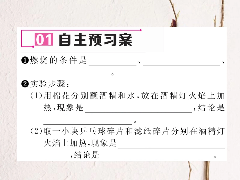 九年级化学上册 第7单元 燃料及其利用 实验活动3 燃烧的条件习题课件 （新版）新人教版[共14页]_第2页