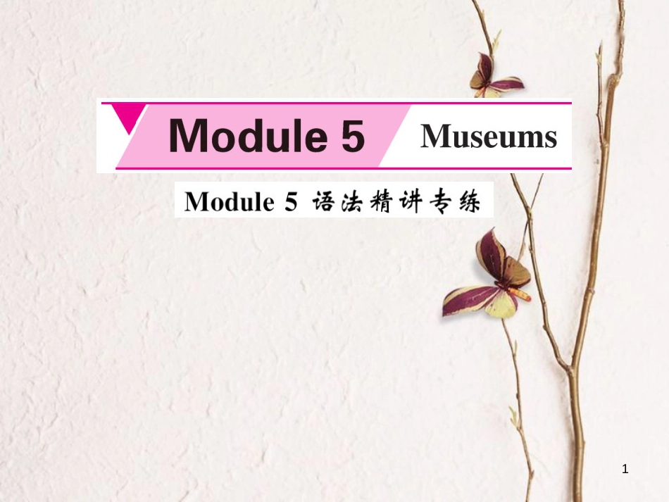 aexAAA九年级英语上册 Module 5 Museums语法精讲专练课件 （新版）外研版_第1页