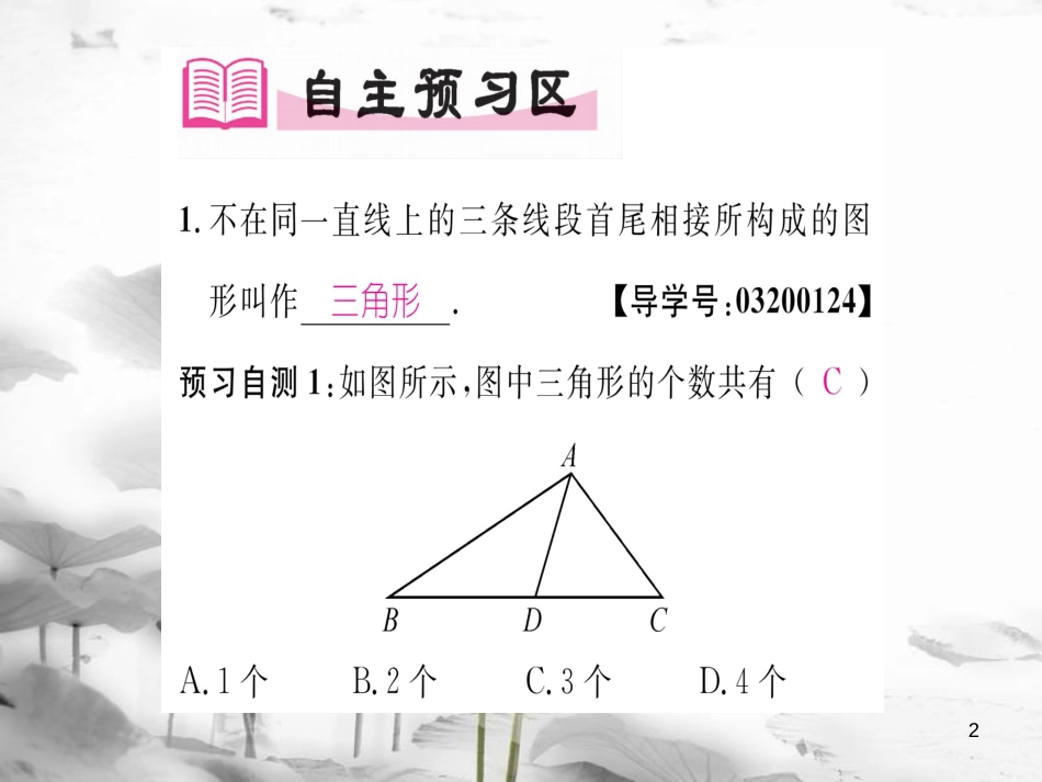 rmaAAA八年级数学上册 2.1 三角形的有关概念及三边关系（第1课时）课件 （新版）湘教版_第2页