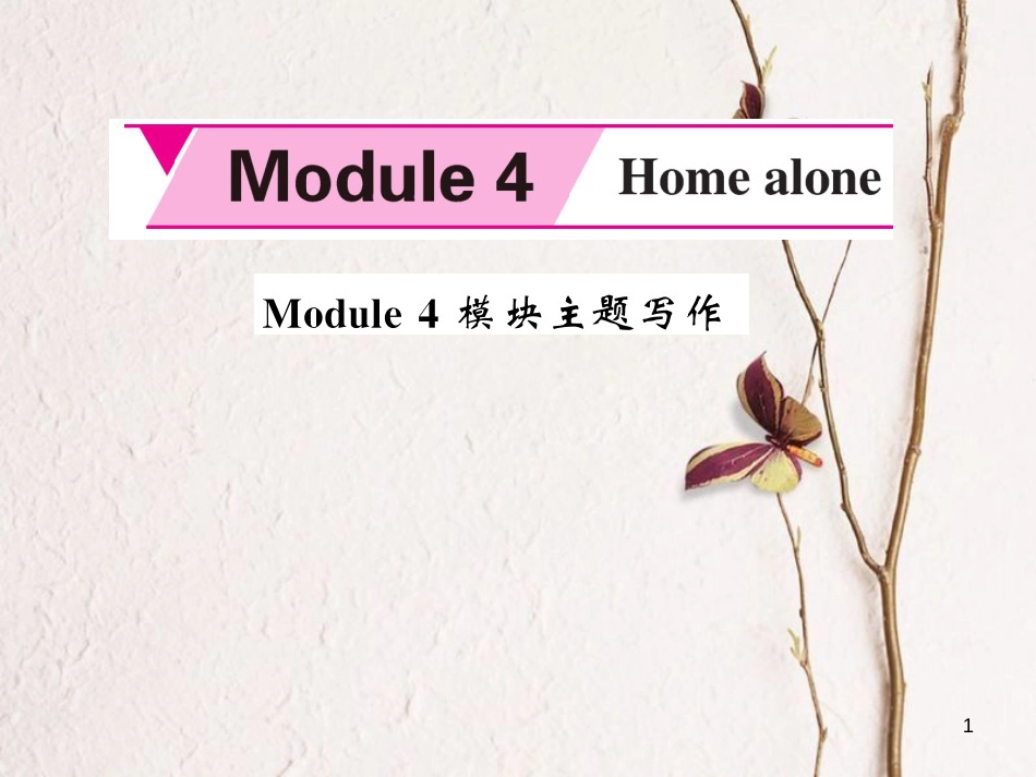 ctfAAA九年级英语上册 Module 4 Home alone主题写作课件 （新版）外研版_第1页