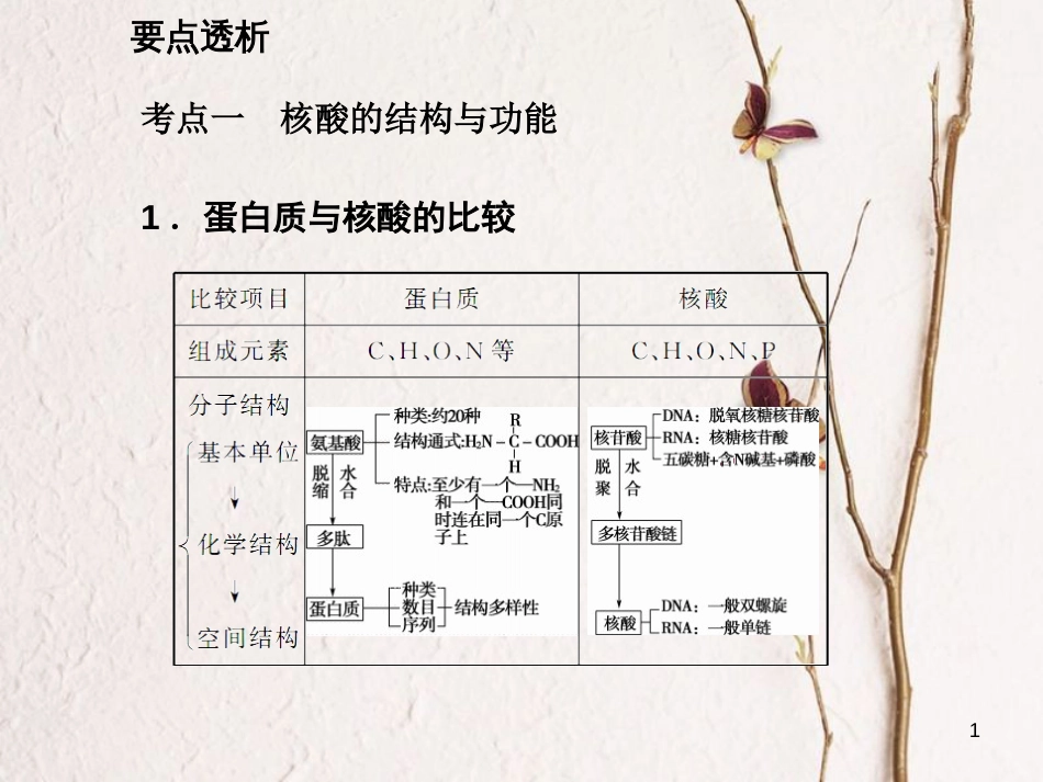 高考生物一轮复习 第1单元 走近细胞和组成细胞的分子 第4讲 核酸 糖类和脂质课件_第1页