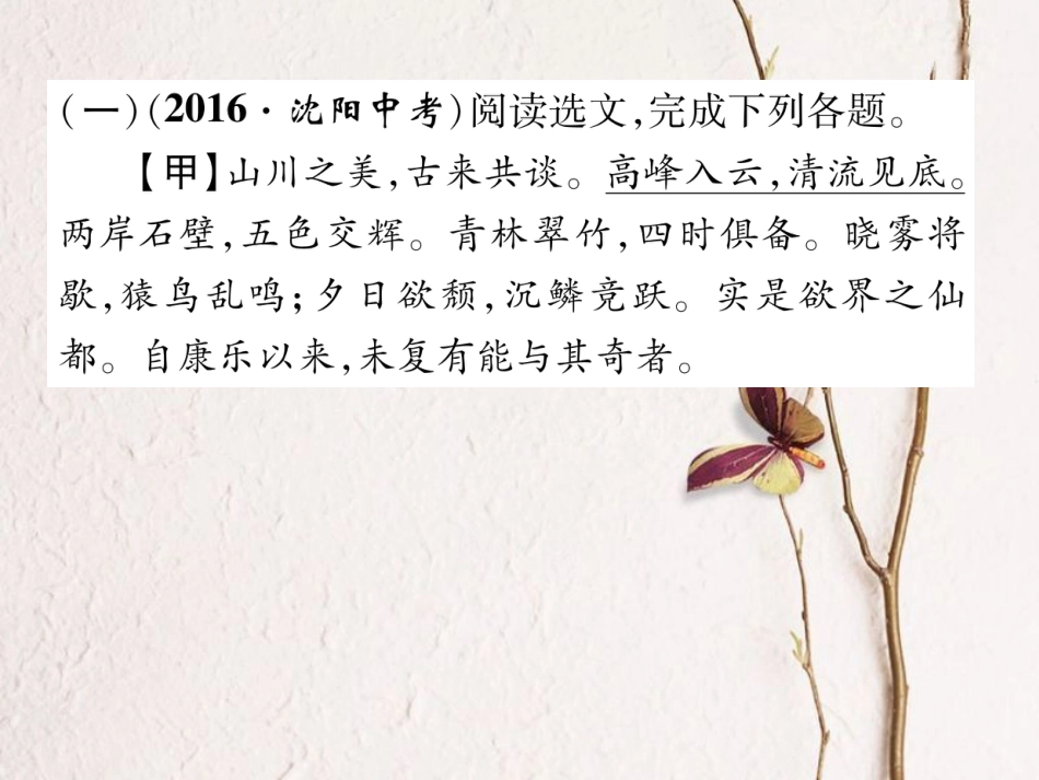 八年级语文上册 第六单元 双休作业（十一）课件 （新版）新人教版[共14页]_第2页