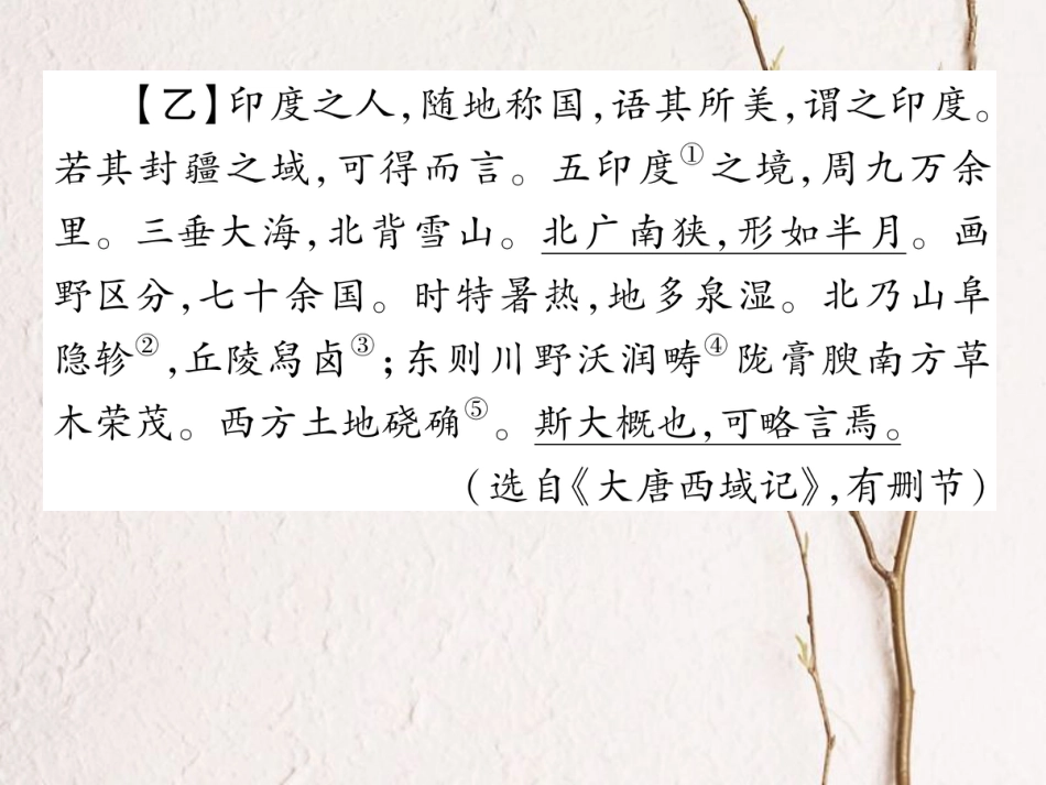 八年级语文上册 第六单元 双休作业（十一）课件 （新版）新人教版[共14页]_第3页