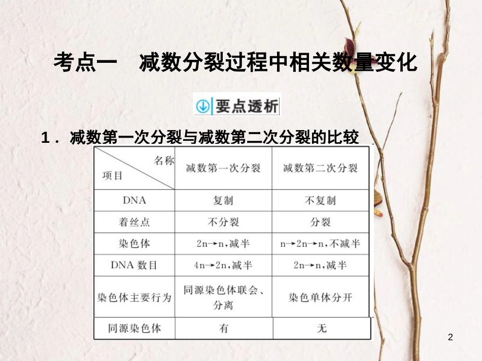 高考生物一轮复习 第4单元 细胞的生命历程 第12讲 减数分裂和受精作用课件_第2页