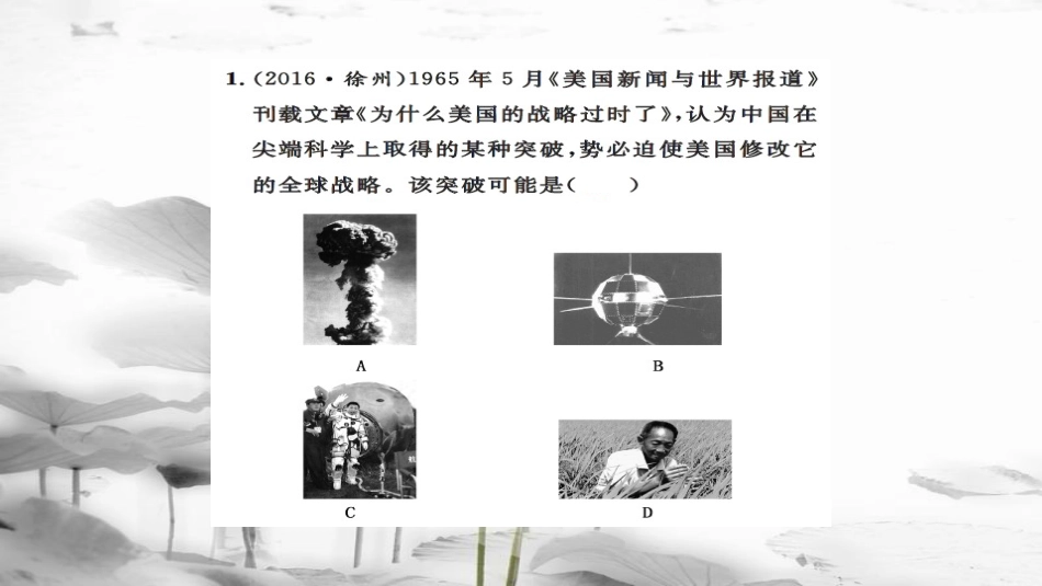 安徽省中考历史 基础知识夯实 模块三 中国现代史 第五主题 中国科技教育与文化 社会生活课后提升课件[共13页]_第2页