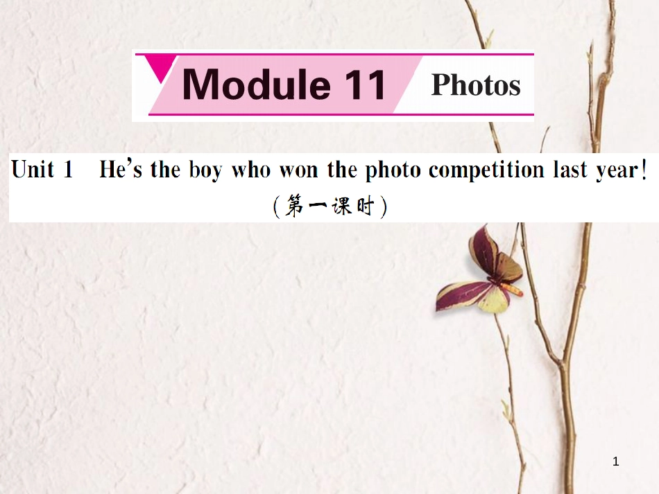 dihAAA九年级英语上册 Module 11 Photos Unit 1 He’s the boy who won the photo competition last year（第1课时）课件 （新版）外研版_第1页