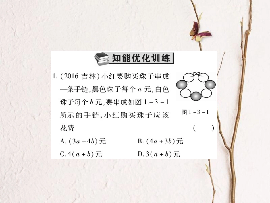 中考数学总复习 第一轮 基础知识复习 第一章 数与式 第3讲 整式及因式分解（练册本）课件[共65页]_第2页