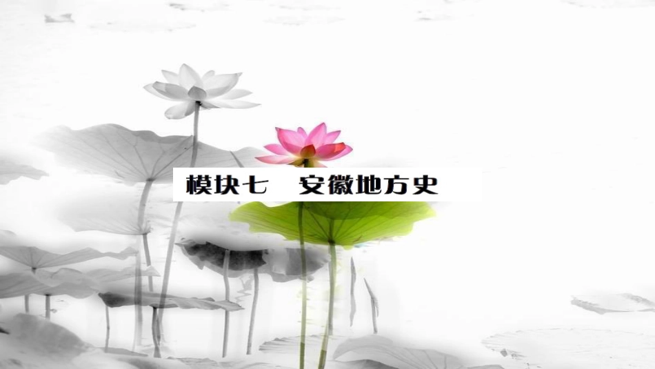 安徽省中考历史 基础知识夯实 模块七 安徽地方史课后提升课件[共22页]_第1页