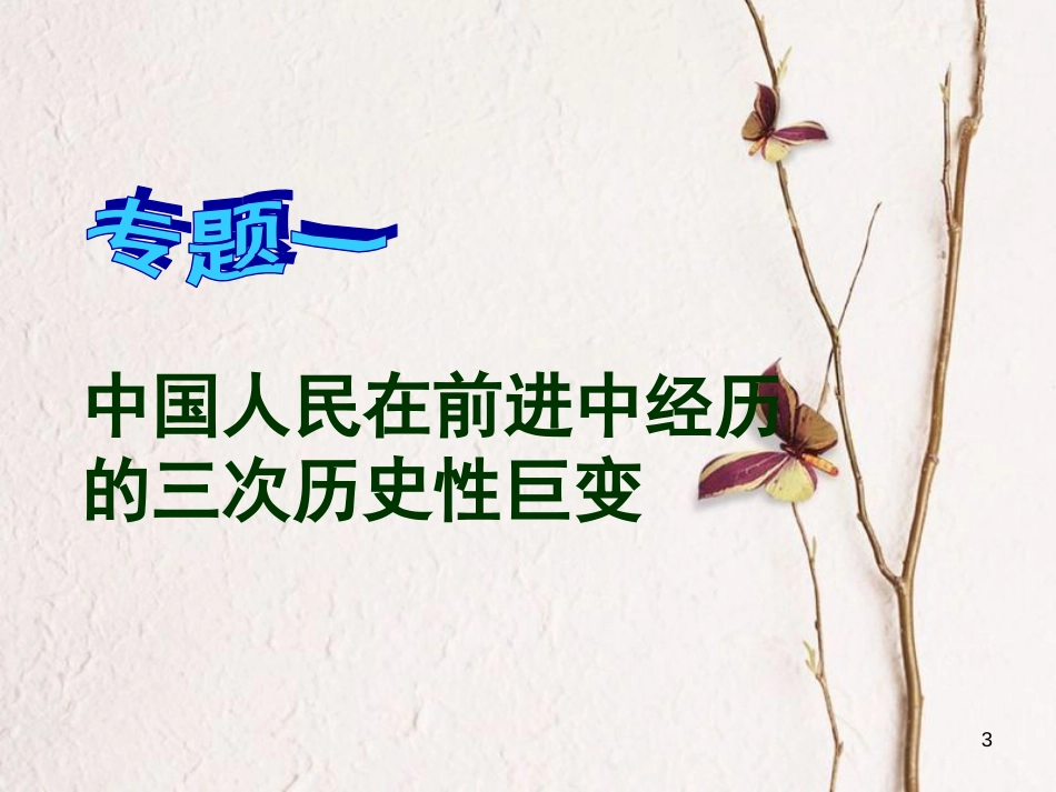 广东省佛山市八年级历史下学期期末复习课件二 北师大版[共73页]_第3页