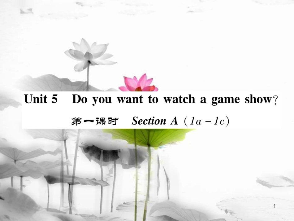 八年级英语上册 Unit 5 Do you want to watch a game show（第1课时）Section A（1a-1c）同步作业课件 （新版）人教新目标版_第1页