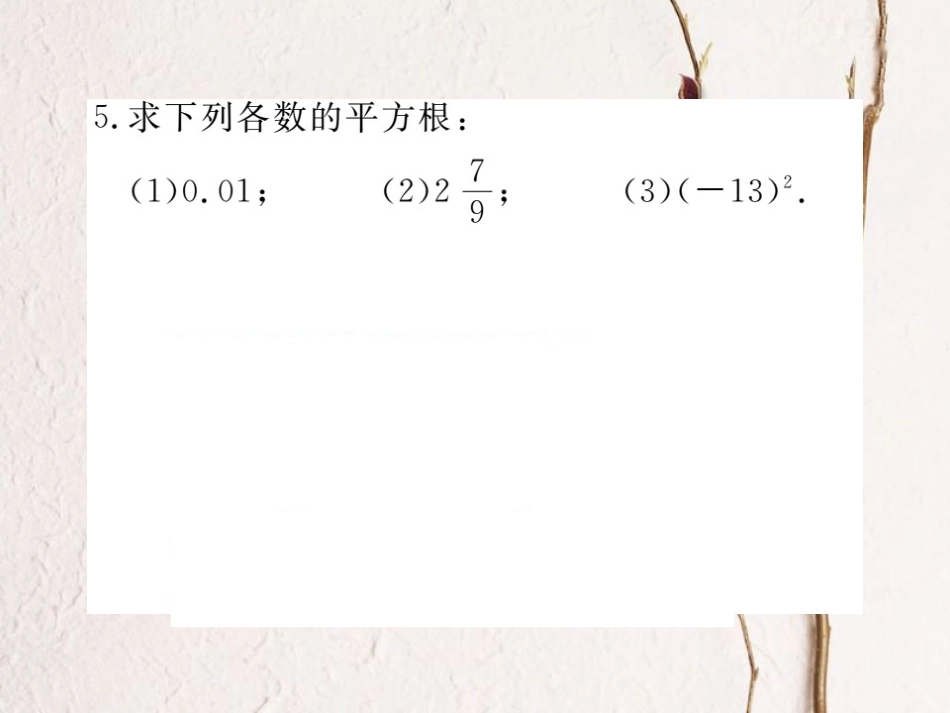 八年级数学上册 2.2 第2课时 平方根习题课件 （新版）北师大版_第3页