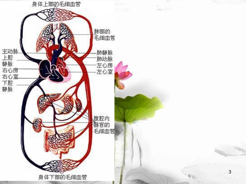 安徽省桐城市嬉子湖中心学校七年级生物下册 4.4.4 输血与血型课件 （新版）新人教版[共12页]_第3页