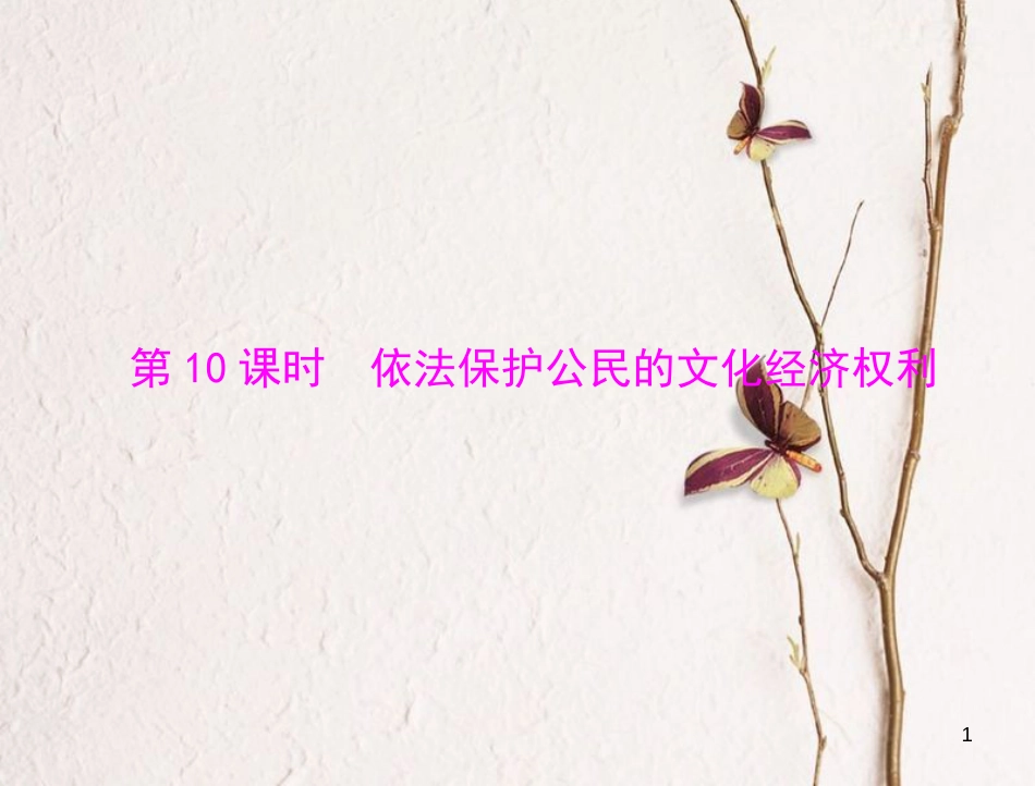 中考政治 第一部分 知识闯关 能力提升 第10课时 依法保护公民的文化经济权利复习课件_第1页