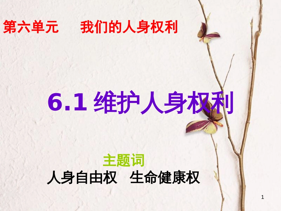 八年级政治下册 第六单元 我们的人身权利 6.1 维护人身自由和生命健康权课件 粤教版[共30页]_第1页