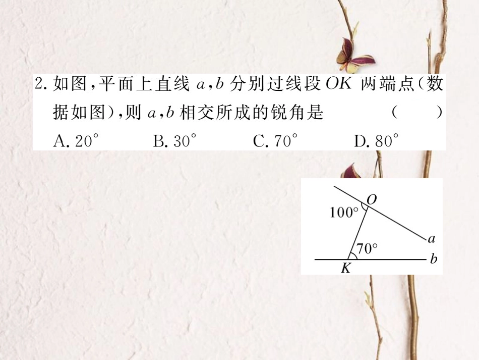 八年级数学上册 11.2.2 三角形的外角习题课件 （新版）新人教版_第3页