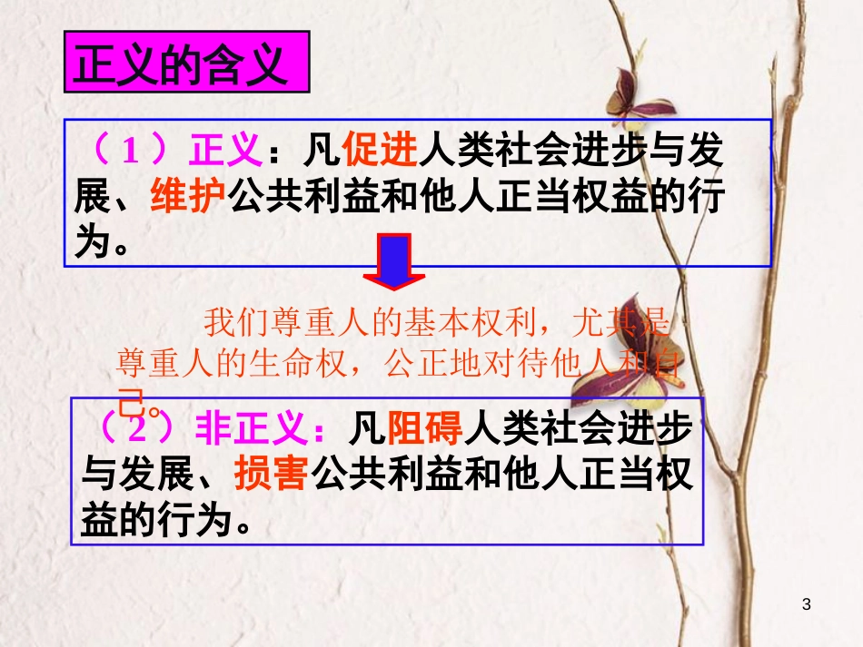 八年级政治下册 第四单元 我们崇尚公平和正义 第十课 我们维护正义 第1框 正义是人类良知的“声音”课件 新人教版[共16页]_第3页