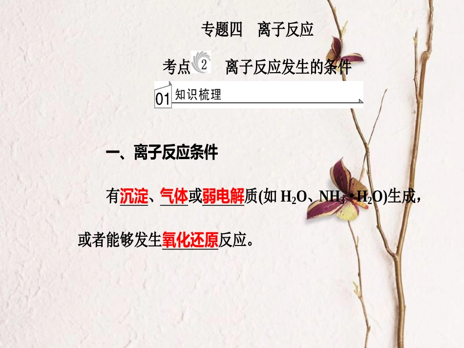 高三化学 第二章 专题四 离子反应 考点2 离子反应发生的条件课件[共32页]_第2页