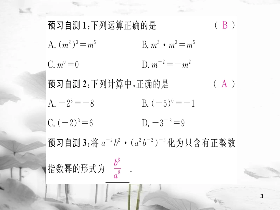 oviAAA八年级数学上册 1.3.3 整数指数幂的运算法则课件 （新版）湘教版_第3页