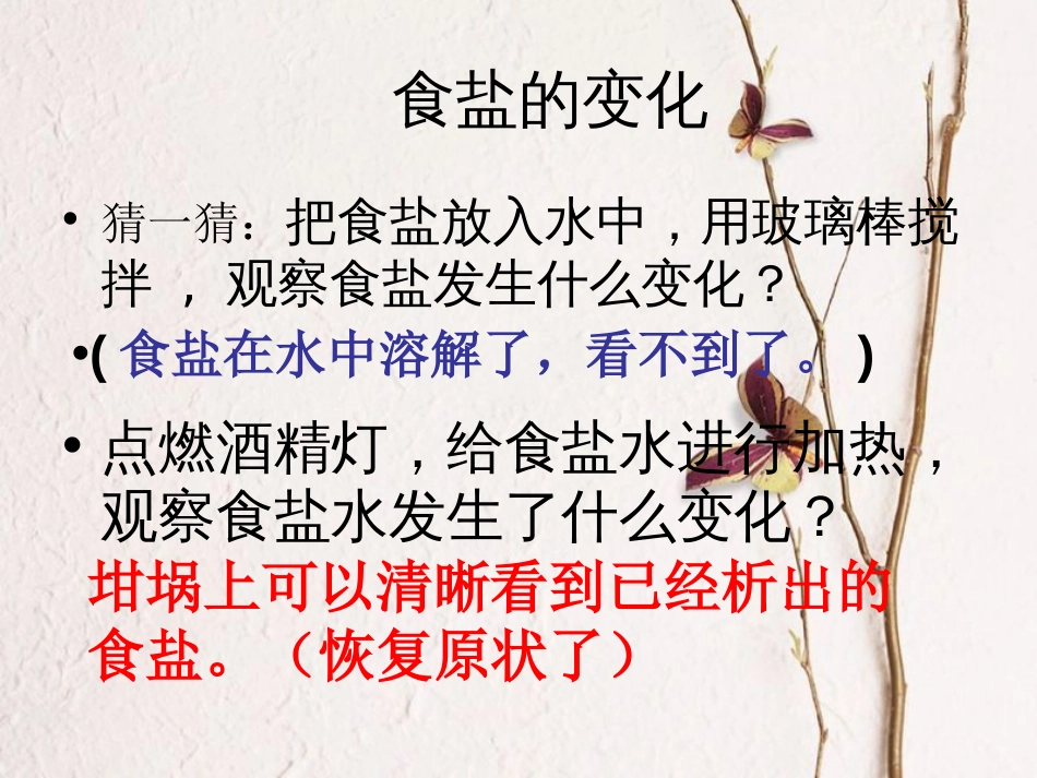 六年级科学上册 食盐和水泥课件11 青岛版[共14页]_第3页