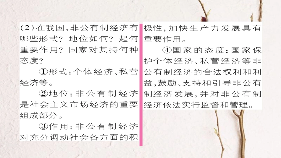 九年级政治全册 第三单元 融入社会 肩负使命 第七课 关注经济发展 第1框 造福人民的经济制度同步作业课件 新人教版[共24页]_第3页