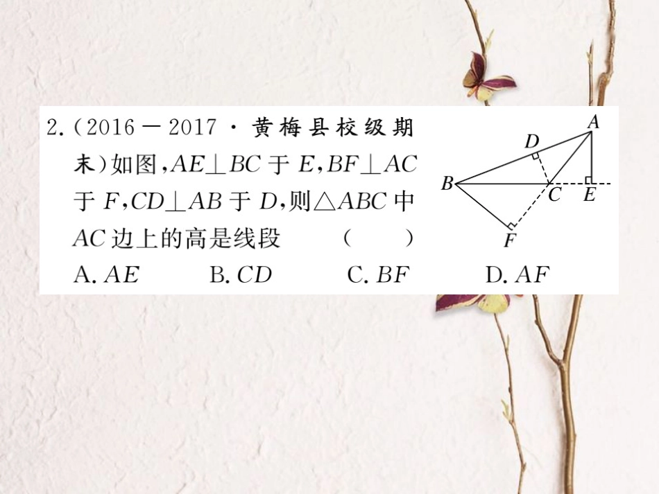 八年级数学上册 11.1.2 三角形的高、中线与角平分线 11.1.3 三角形的稳定性习题课件 （新版）新人教版_第3页