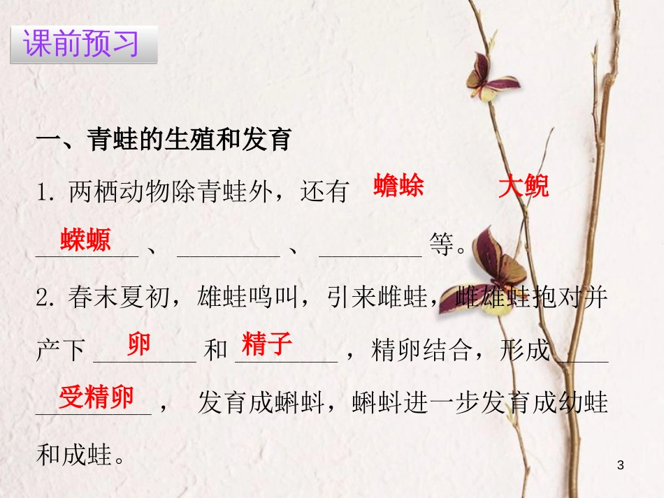 八年级生物下册 7.1.3 两栖动物的生殖和发育课件（新版）新人教版_第3页