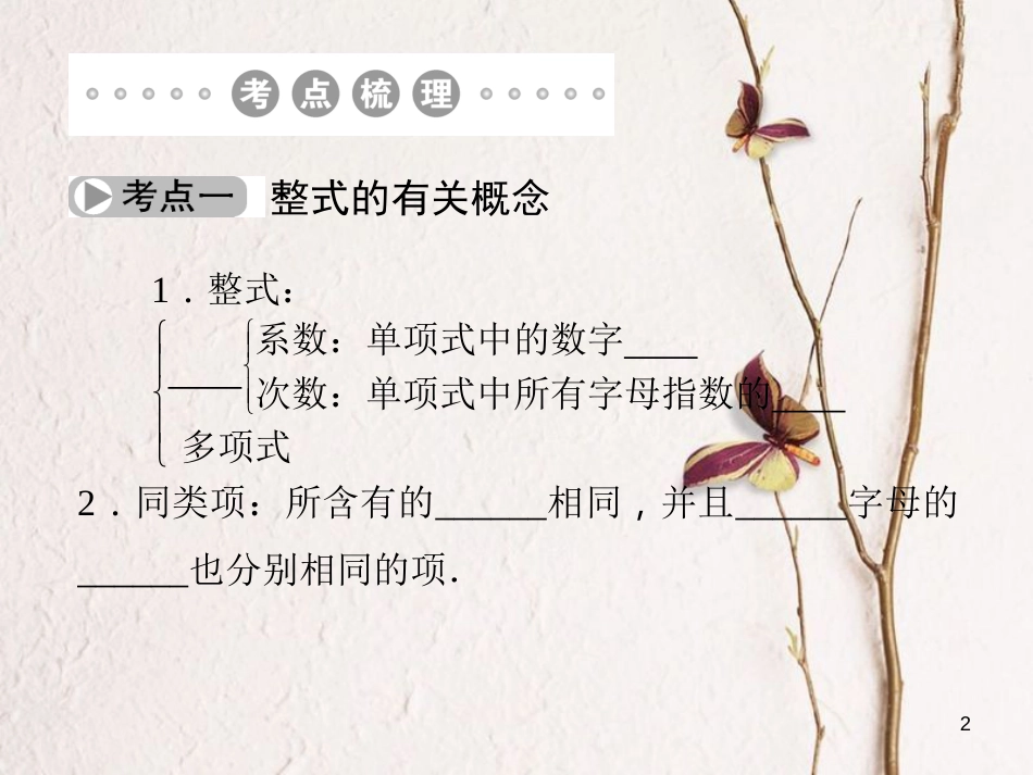 中考数学 第2讲 整式与因式分解复习课件1 （新版）北师大版[共21页]_第2页