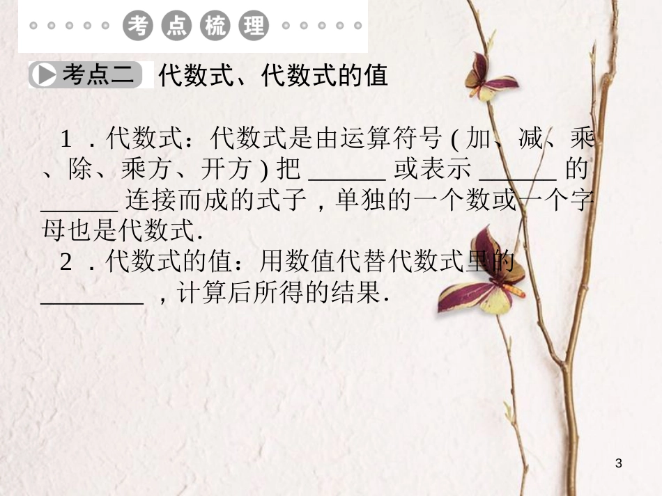中考数学 第2讲 整式与因式分解复习课件1 （新版）北师大版[共21页]_第3页