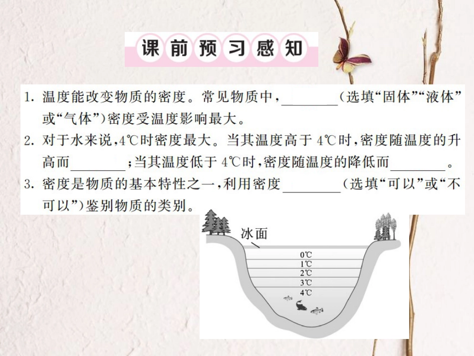 八年级物理上册 第六章 质量与密度 第4节 密度与社会生活习题课件 （新版）新人教版[共21页]_第2页
