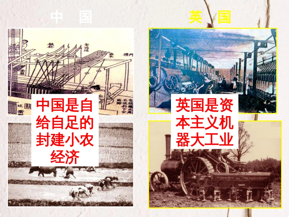 云南省中考历史 2 鸦片战争复习课件[共19页]_第3页