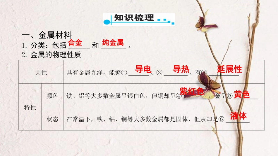 广东省中考化学 第一部分 基础过关 课时11 金属和金属材料课件_第2页