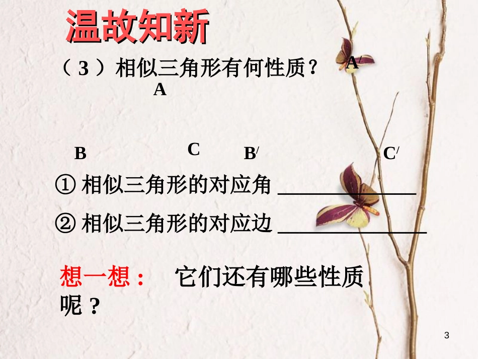 九年级数学上册 22.3 相似三角形的性质（第1课时）课件 （新版）沪科版[共41页]_第3页