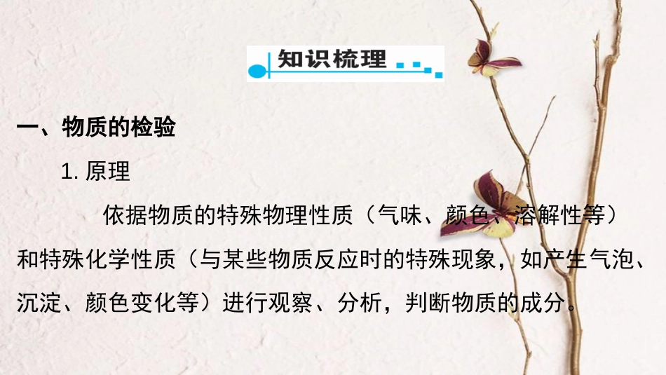 广东省中考化学 第一部分 基础过关 课时18 物质的检验与鉴别课件_第2页