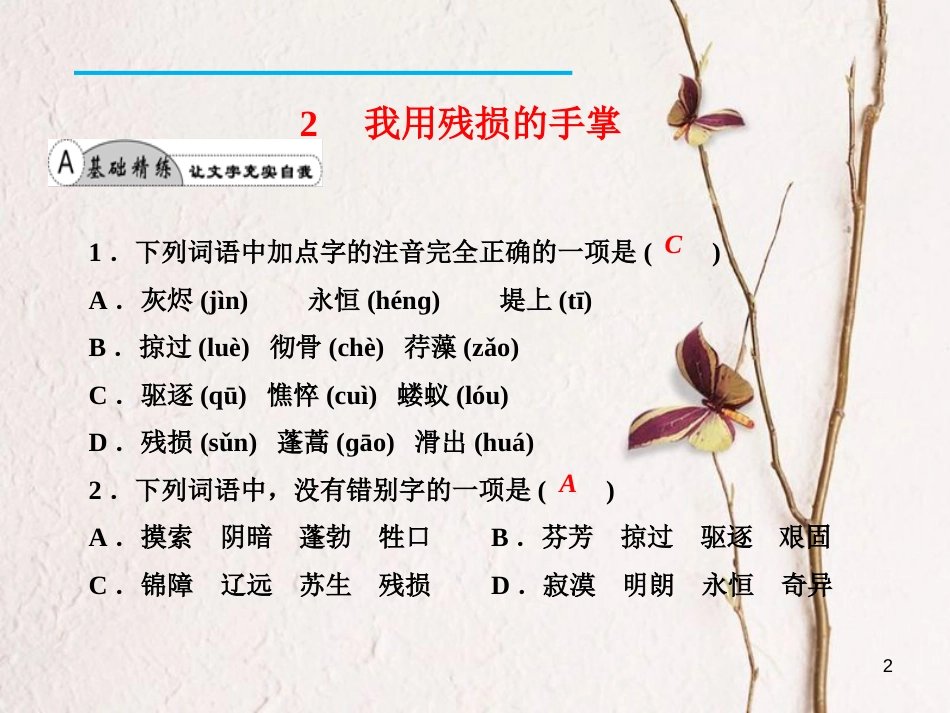 九年级语文下册 2 我用残损的手掌课件 新人教版[共20页]_第2页