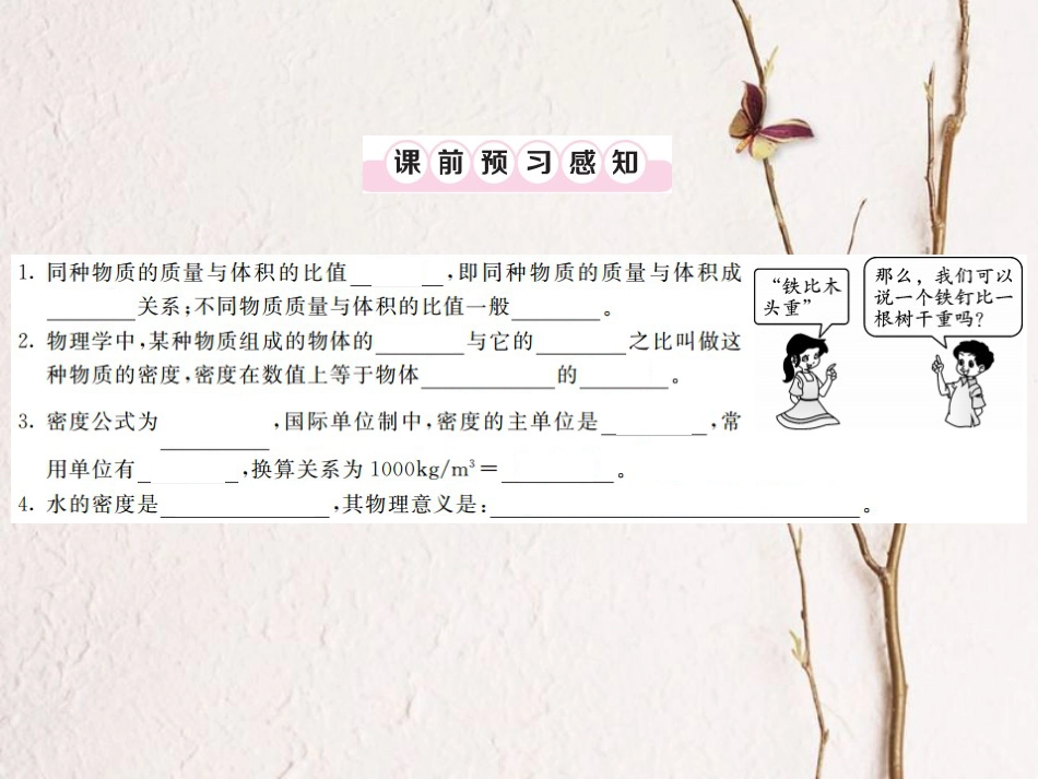 八年级物理上册 第六章 质量与密度 第2节 密度 第1课时 探究物质的密度习题课件 （新版）新人教版[共19页]_第2页