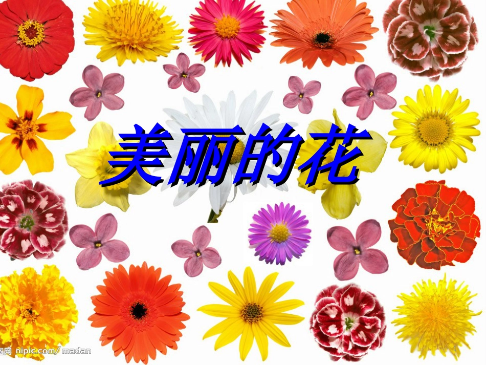 三年级美术上册 第10课 美丽的花课件4 新人教版[共13页]_第1页
