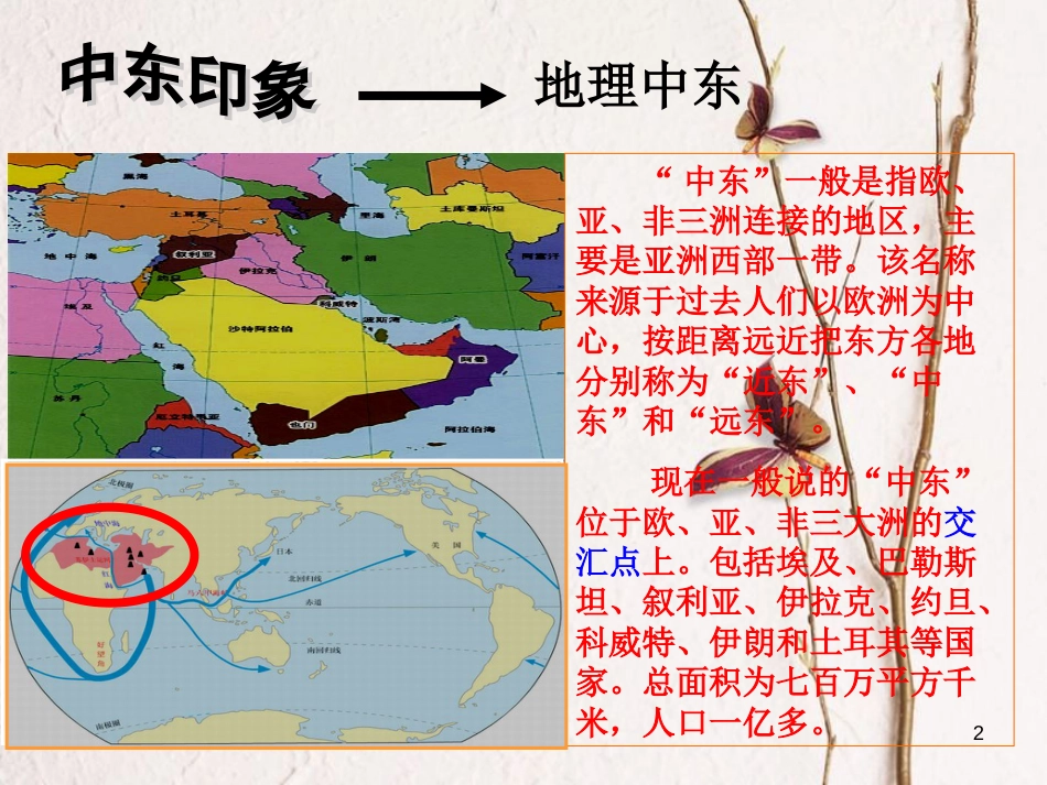 九年级历史下册 第六单元 第13课 动荡的中东地区课件 新人教版[共50页]_第2页