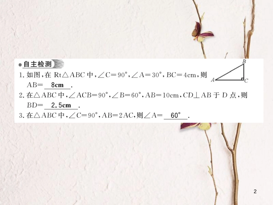 八年级数学下册 第1章 直角三角形 1.1 直角三角形的性质与判定（Ⅰ）（第2课时）习题课件 （新版）湘教版_第2页