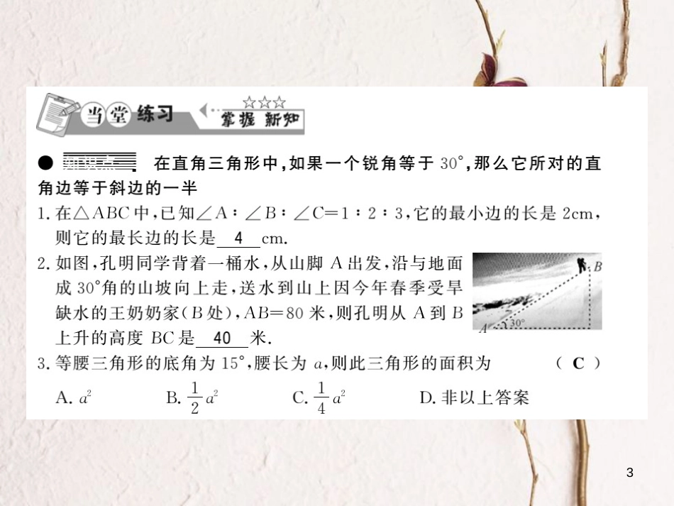 八年级数学下册 第1章 直角三角形 1.1 直角三角形的性质与判定（Ⅰ）（第2课时）习题课件 （新版）湘教版_第3页