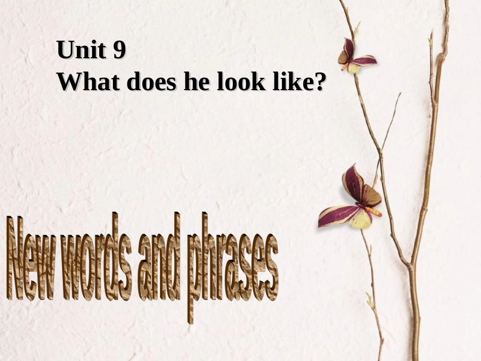 （水滴系列）七年级英语下册 Unit 9 What does he look like（第1课时）New words and phrases课件 （新）人教新目标_第1页