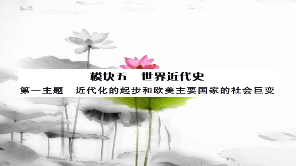 安徽省中考历史 基础知识夯实 模块五 世界近代史 第一主题 近代化的进步与欧美主要国家的社会巨变课后提升课件[共14页]_第1页