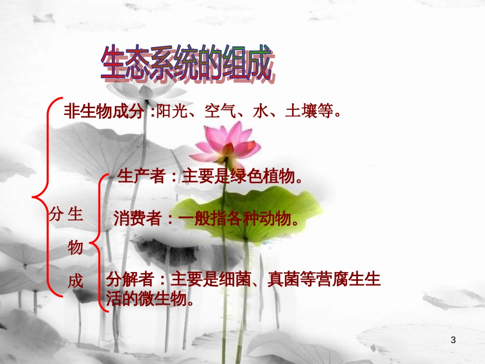 八年级生物下册 第六单元 第二章 第二节 食物链和食物网课件 （新版）济南版[共28页]_第3页