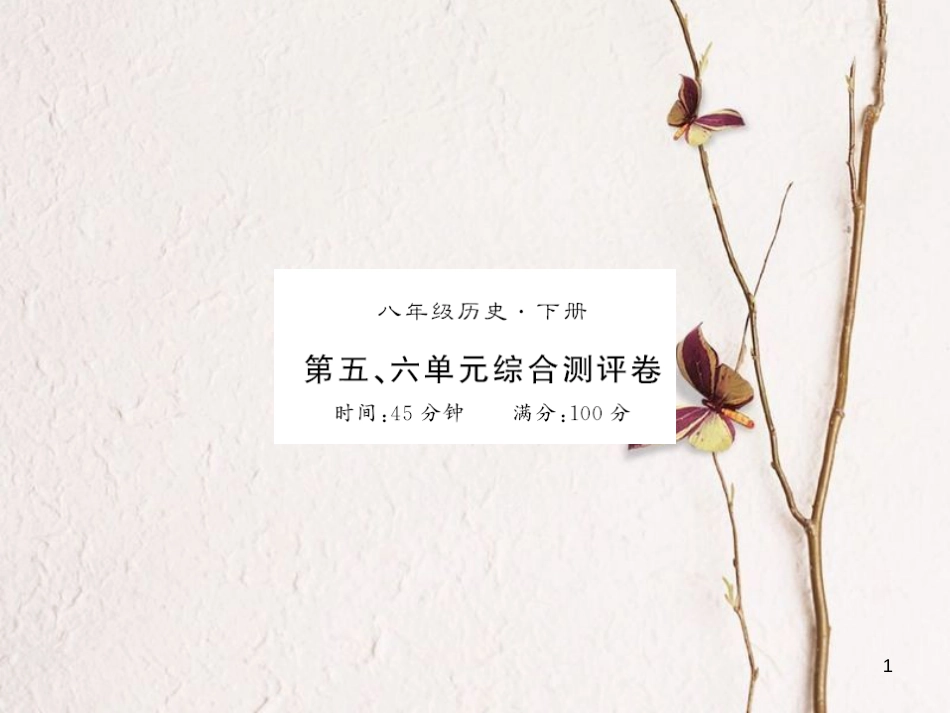 八年级历史下册 第五单元 国防建设与外交成就 第六单元 科学技术与社会生活测评卷课件 新人教版_第1页