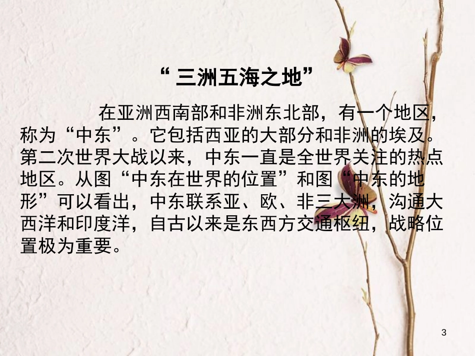 福建省漳州市七年级地理下册 第八章 第1节 中东课件 （新版）新人教版_第3页
